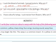 Write four sentence about a wasp Solve by Bikash Edu care - Screenshot 7 of 16 - Asian