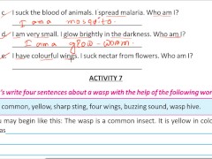 Write four sentence about a wasp Solve by Bikash Edu care - Screenshot 8 of 16 - Amateur