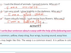 Write four sentence about a wasp Solve by Bikash Edu care - Screenshot 9 of 16 - Cheat