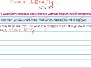 Write four sentence about a wasp Solve by Bikash Edu care