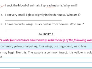 Write four Sentence about a Wasp Solve by Bikash edu Care