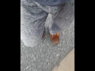 Buck bulging down the street