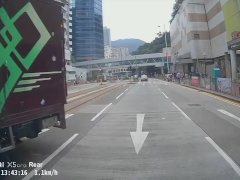 Crazy Truck Driver