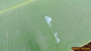 INDONESIAN DICK - Outdoor Masturbation 3 Days Before Eid al-Adha 2023