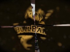 Raven Spades wants to breeding from Bullbang