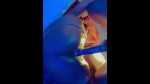 Playlist Thumb 269085751-1