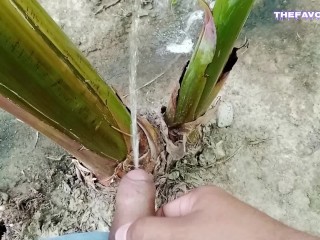 我在香蕉里撒尿感觉很好。 3🌱