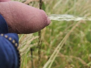 Pissen Met Uitzicht