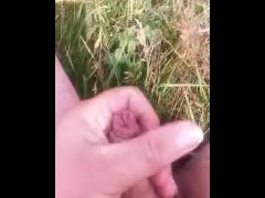 Quick jerk off in a Meadow next to bridleway and nearly got caught