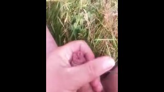 Masturbação rápida em uma Meadow ao lado de rédea com pau não cortado e quase foi pego