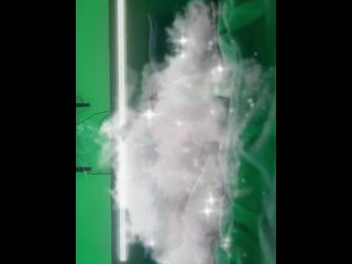 slutty stoner rolls up & plays