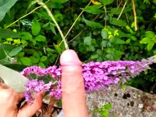 Dirty Boy Pissed in the Park and Rubbed his Big Cock with a Cute Flower 🌺