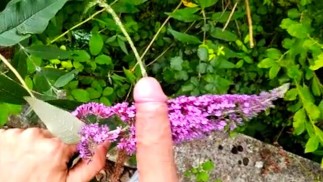 Dirty Boy Pissed in the Park and Rubbed His Big Cock With a Cute Flower 🌺