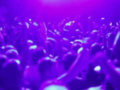 testing upload - Screenshot 5 of 16 - Big Tits