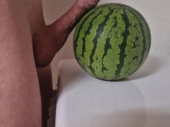 White Cock Vs Watermelon Made the Melon look Small 🤭