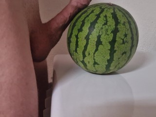 White Cock vs Watermelon made the Melon look Small 🤭