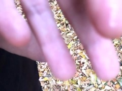 Own precum eating public - Screenshot 14 of 16 - Licking Precum