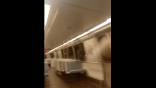 在火车上玩猫