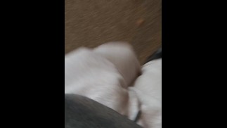 Фрибол во время прогулки по городу