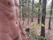 Preview 1 of Wood in the Woods: Risky naked hike; showing my fat dick in a public park.