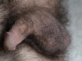 Very Hairy Small Dick very Close, with Cumshot