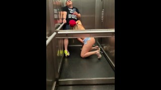 In A Public Elevator With A Young Neighbor With Amazing Body Porn Porn I Did My Best Blowjob Ever