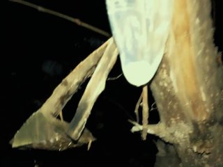 Middle eastern twink with big dick cums on used condoms at public