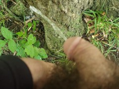 peeing on a tree