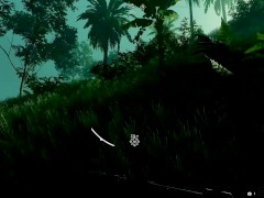FAR CRY обзор хуни для пятого фар сру - Screenshot 10 of 16 - Bdsm