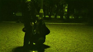 Заниматься сексом в общественном месте доставляет мне особое удовольствие.