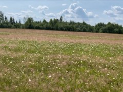 Красивый секс в ромашковом поле с минетом в начале 1/16