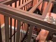 Preview 5 of crawling inside its cage