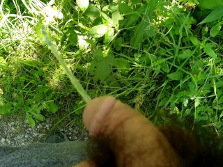 пришлось пописать во время прогулки