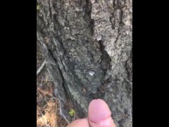 Marking my territory