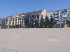 Ищу бездомных котов в Урюпинске