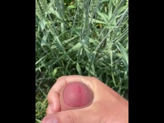 Good times in the wheat field
