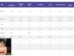 老司机上网的必备工具——vpn推荐 - Screenshot 14 of 16 - Vpn