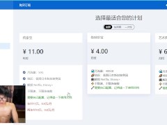 老司机上网的必备工具——vpn推荐 - Screenshot 8 of 16 - Anime