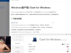 老司机上网的必备工具——vpn推荐 - Screenshot 9 of 16 - 老司机