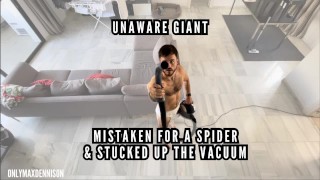 Unaware giant - trapped on spiders web and sucked up the vacuum