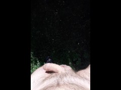 from the left to the right to the left...