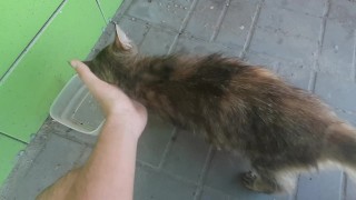 Накормил бездомную кошку возле магазина в Урюпинске.