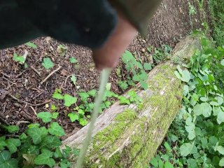 Pissing on a woodland path with birds singi g on a sunny day