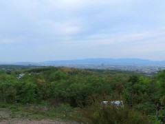 勃起したペニスを弄りながらたくさんの神社の鳥居を全裸で巡回してきた　220506 - Screenshot 3 of 16 - Naked