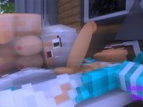 Minecraft Sex Mod