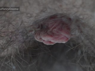 Hairy Hole Extreme - getting Real Close to my Rosebud Ass and Jerking off
