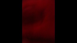 Кто возьмет мой член в рот?