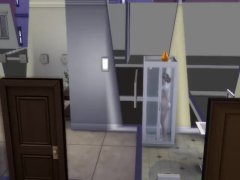 sims4