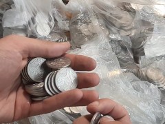 I've been saving coins all my life