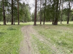 Девушка В Лесу Попросила Показать Дорогу. Заблудилась И Даже Не Поняла Как Отсосала Незнакомцу. - Screenshot 3 of 16 - Huge Facial